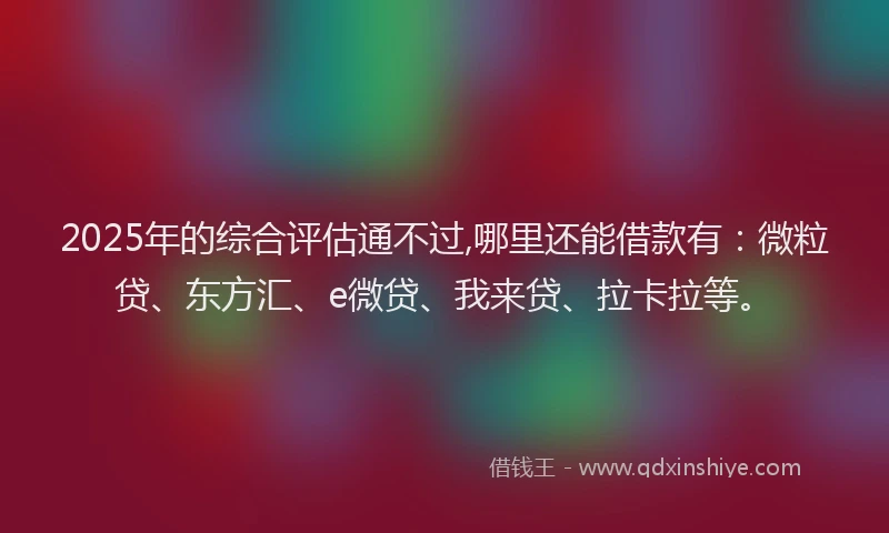 2025年的综合评估通不过,哪里还能借款有：微粒贷、东方汇、e微贷、我来贷、拉卡拉等。