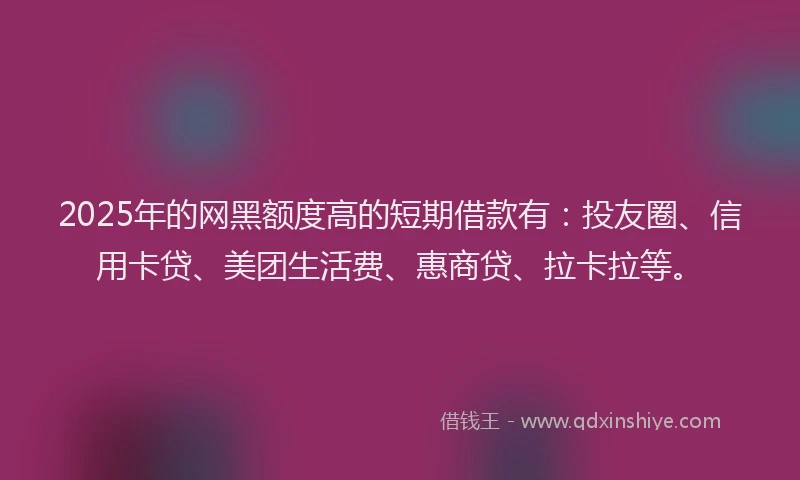2025年的网黑额度高的短期借款有：投友圈、信用卡贷、美团生活费、惠商贷、拉卡拉等。
