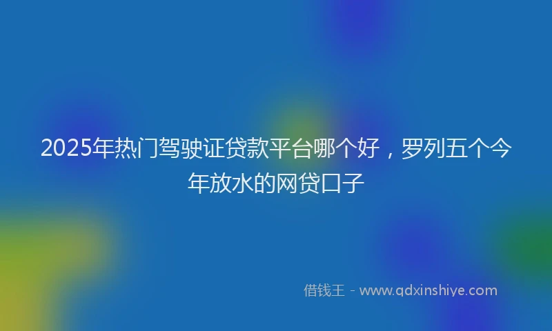 2025年热门驾驶证贷款平台哪个好，罗列五个今年放水的网贷口子
