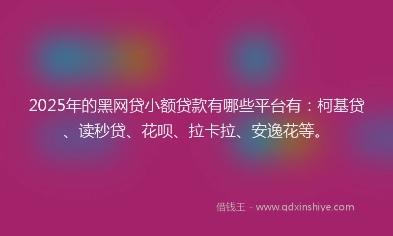 2025年的黑网贷小额贷款有哪些平台有：柯基贷、读秒贷、花呗、拉卡拉、安逸花等。