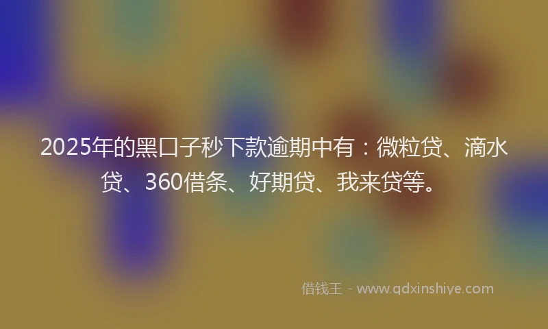2025年的黑口子秒下款逾期中有：微粒贷、滴水贷、360借条、好期贷、我来贷等。