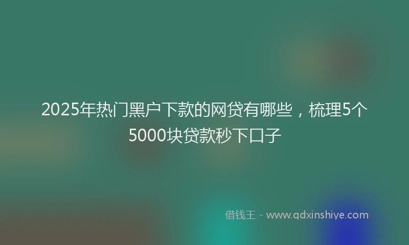 2025年热门黑户下款的网贷有哪些，梳理5个5000块贷款秒下口子