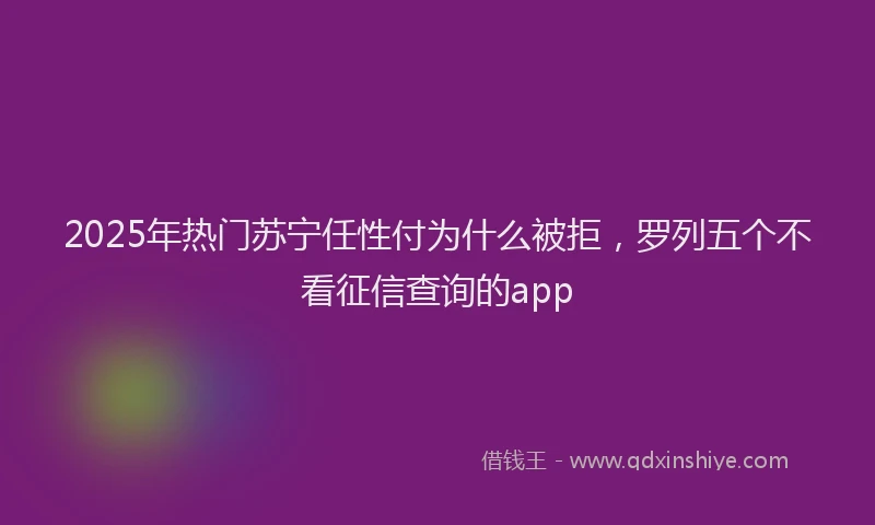2025年热门苏宁任性付为什么被拒，罗列五个不看征信查询的app