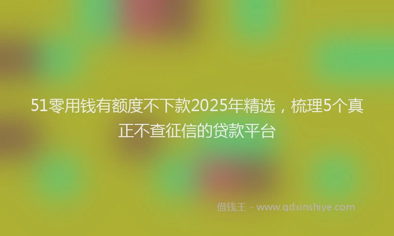 51零用钱有额度不下款2025年精选，梳理5个真正不查征信的贷款平台