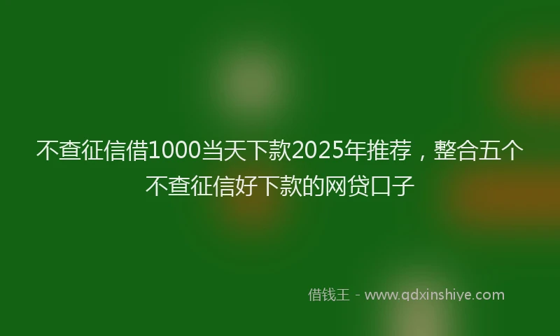 不查征信借1000当天下款2025年推荐，整合五个不查征信好下款的网贷口子