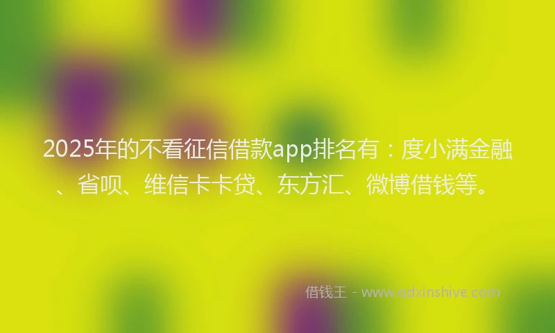 2025年的不看征信借款app排名有：度小满金融、省呗、维信卡卡贷、东方汇、微博借钱等。