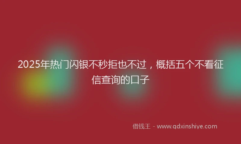 2025年热门闪银不秒拒也不过，概括五个不看征信查询的口子