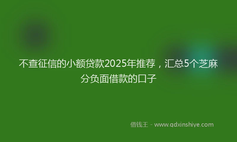 不查征信的小额贷款2025年推荐，汇总5个芝麻分负面借款的口子