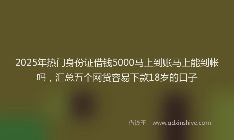 2025年热门身份证借钱5000马上到账马上能到帐吗，汇总五个网贷容易下款18岁的口子