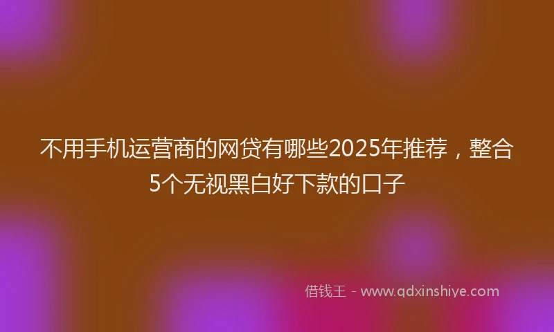 不用手机运营商的网贷有哪些2025年推荐，整合5个无视黑白好下款的口子