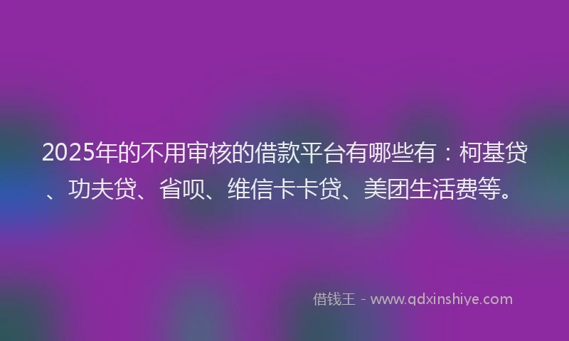 2025年的不用审核的借款平台有哪些有：柯基贷、功夫贷、省呗、维信卡卡贷、美团生活费等。