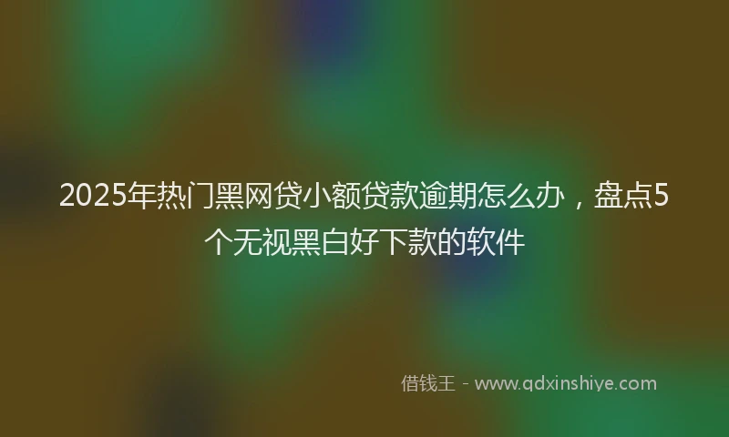 2025年热门黑网贷小额贷款逾期怎么办，盘点5个无视黑白好下款的软件