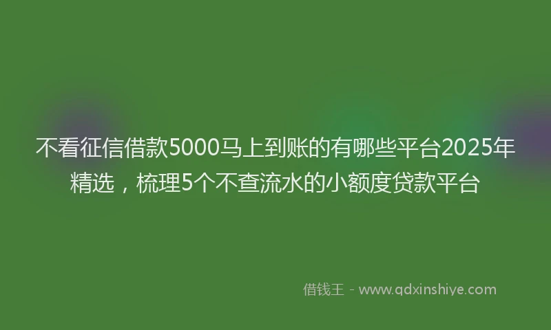 不看征信借款5000马上到账的有哪些平台2025年精选，梳理5个不查流水的小额度贷款平台