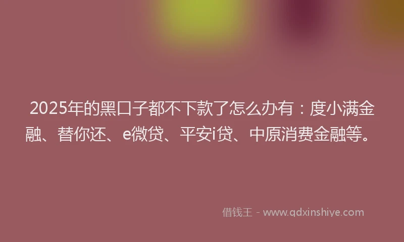 2025年的黑口子都不下款了怎么办有：度小满金融、替你还、e微贷、平安i贷、中原消费金融等。