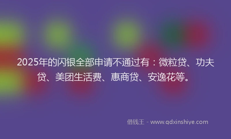 2025年的闪银全部申请不通过有：微粒贷、功夫贷、美团生活费、惠商贷、安逸花等。