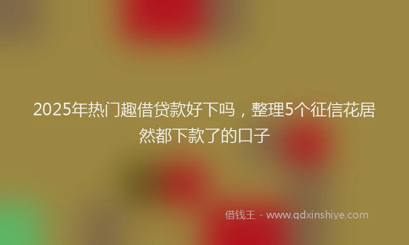 2025年热门趣借贷款好下吗，整理5个征信花居然都下款了的口子
