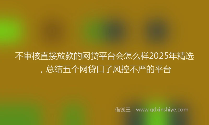 不审核直接放款的网贷平台会怎么样2025年精选，总结五个网贷口子风控不严的平台