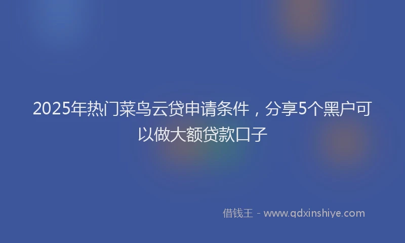 2025年热门菜鸟云贷申请条件，分享5个黑户可以做大额贷款口子