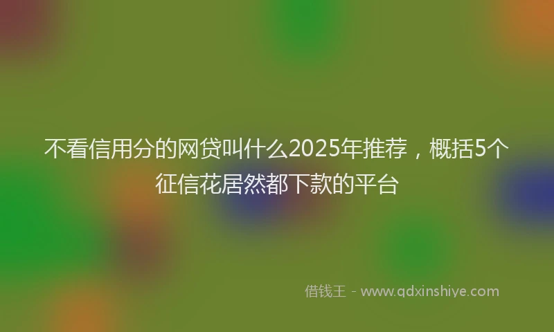 不看信用分的网贷叫什么2025年推荐，概括5个征信花居然都下款的平台