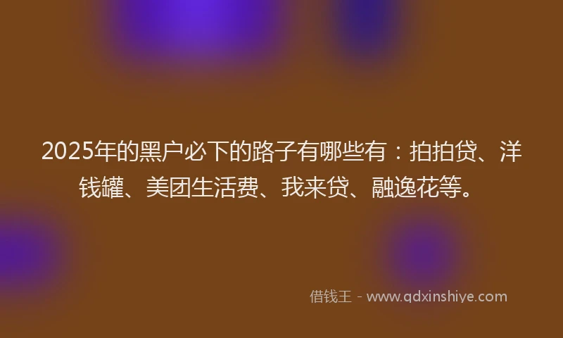 2025年的黑户必下的路子有哪些有：拍拍贷、洋钱罐、美团生活费、我来贷、融逸花等。