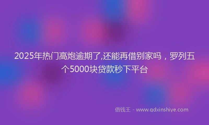 2025年热门高炮逾期了,还能再借别家吗，罗列五个5000块贷款秒下平台