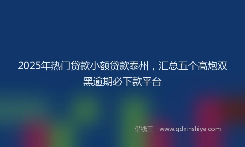 2025年热门贷款小额贷款泰州，汇总五个高炮双黑逾期必下款平台