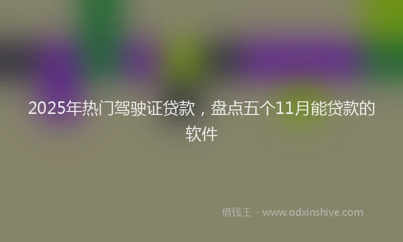 2025年热门驾驶证贷款，盘点五个11月能贷款的软件