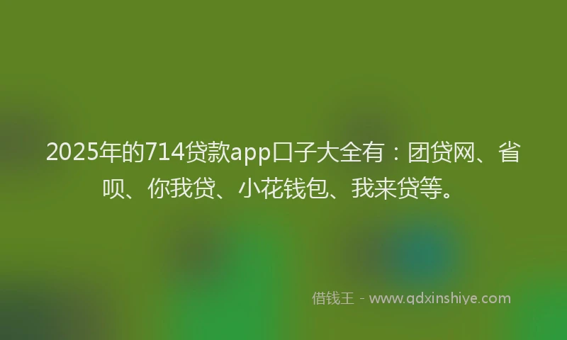 2025年的714贷款app口子大全有：团贷网、省呗、你我贷、小花钱包、我来贷等。