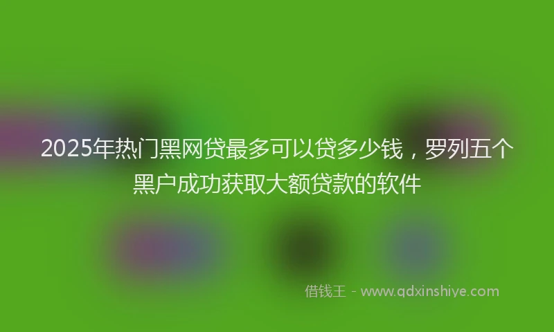 2025年热门黑网贷最多可以贷多少钱，罗列五个黑户成功获取大额贷款的软件