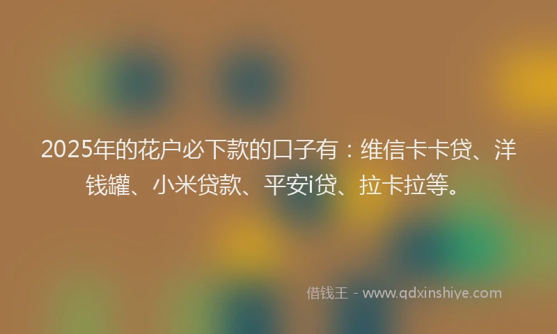 2025年的花户必下款的口子有：维信卡卡贷、洋钱罐、小米贷款、平安i贷、拉卡拉等。
