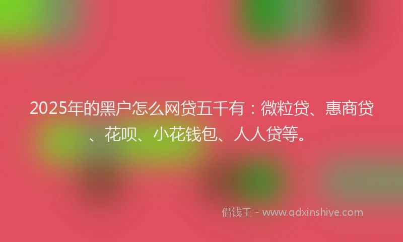 2025年的黑户怎么网贷五千有：微粒贷、惠商贷、花呗、小花钱包、人人贷等。