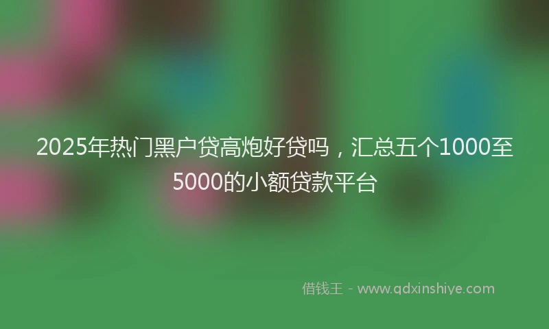 2025年热门黑户贷高炮好贷吗，汇总五个1000至5000的小额贷款平台