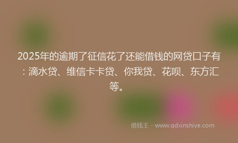 2025年的逾期了征信花了还能借钱的网贷口子有：滴水贷、维信卡卡贷、你我贷、花呗、东方汇等。