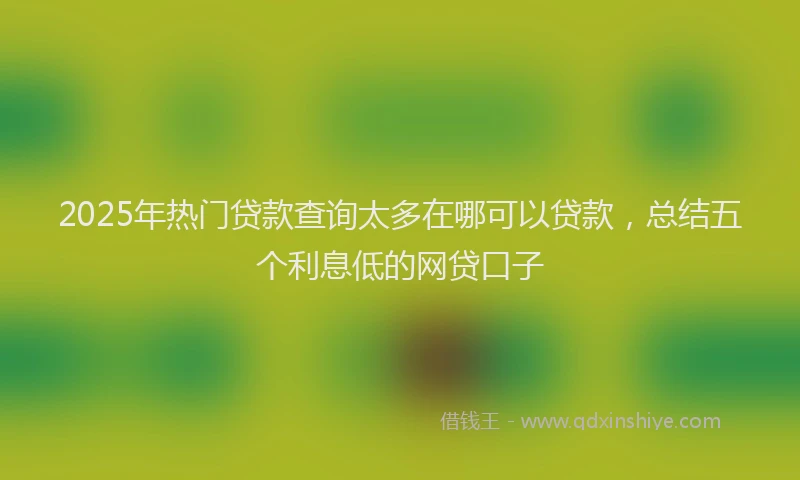 2025年热门贷款查询太多在哪可以贷款，总结五个利息低的网贷口子