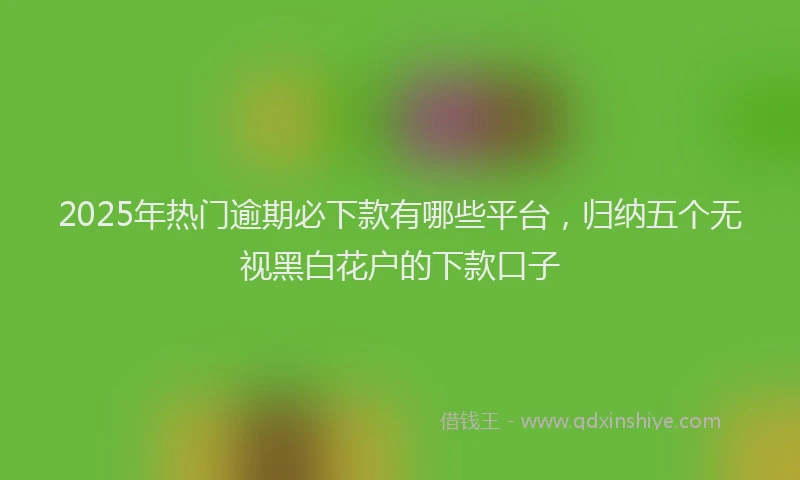 2025年热门逾期必下款有哪些平台，归纳五个无视黑白花户的下款口子