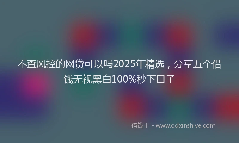 不查风控的网贷可以吗2025年精选，分享五个借钱无视黑白100%秒下口子