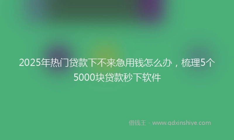 2025年热门贷款下不来急用钱怎么办，梳理5个5000块贷款秒下软件