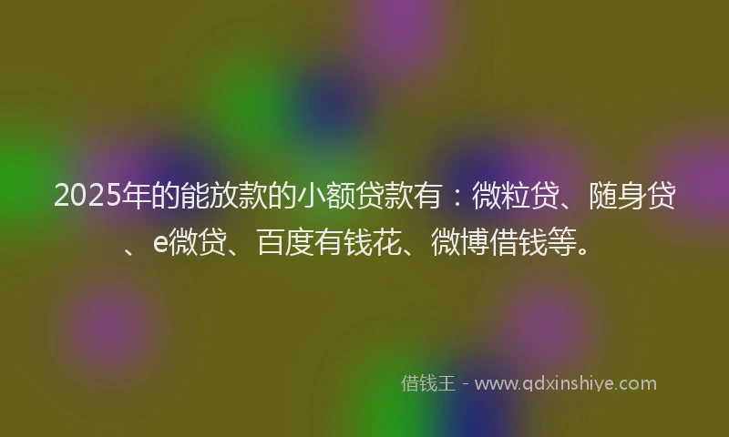 2025年的能放款的小额贷款有：微粒贷、随身贷、e微贷、百度有钱花、微博借钱等。