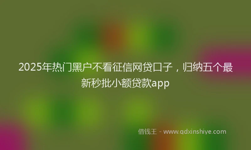 2025年热门黑户不看征信网贷口子，归纳五个最新秒批小额贷款app