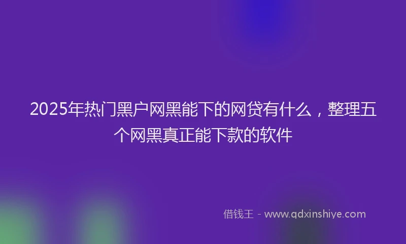 2025年热门黑户网黑能下的网贷有什么，整理五个网黑真正能下款的软件