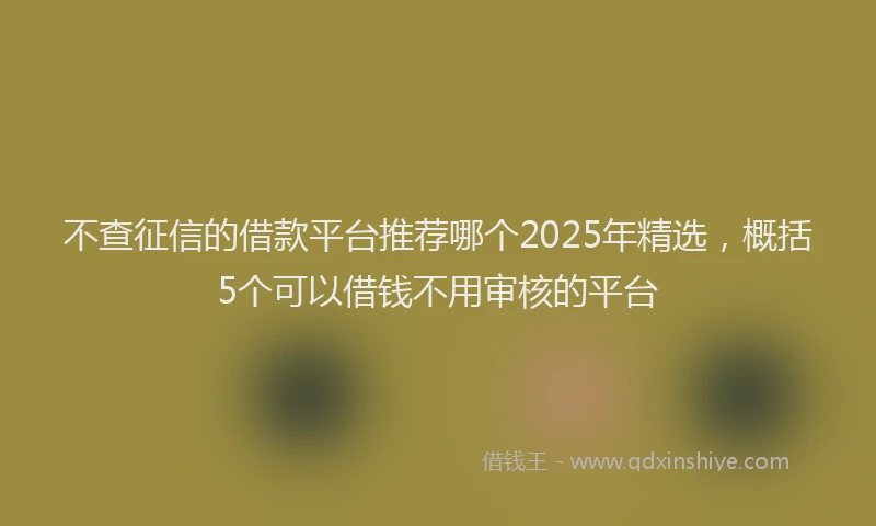 不查征信的借款平台推荐哪个2025年精选，概括5个可以借钱不用审核的平台