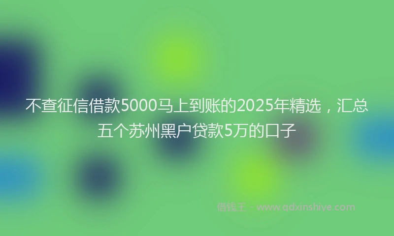 不查征信借款5000马上到账的2025年精选，汇总五个苏州黑户贷款5万的口子