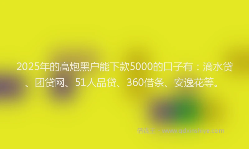 2025年的高炮黑户能下款5000的口子有：滴水贷、团贷网、51人品贷、360借条、安逸花等。