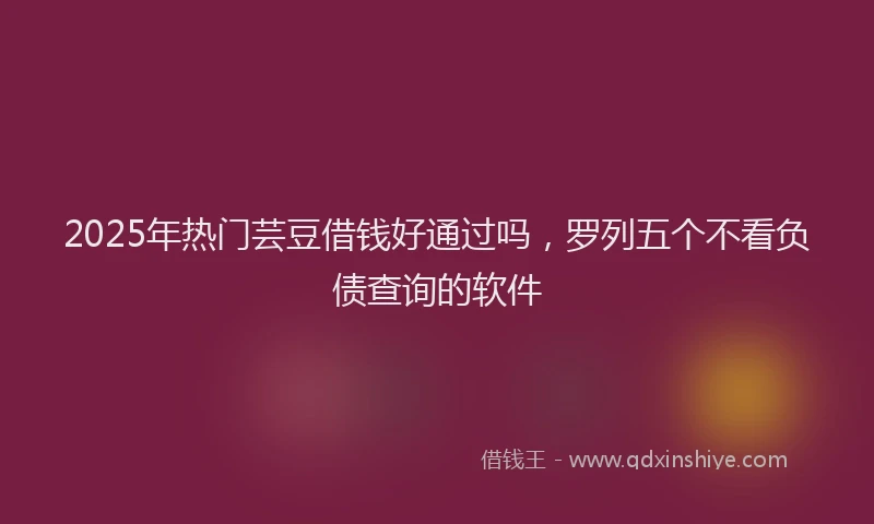 2025年热门芸豆借钱好通过吗，罗列五个不看负债查询的软件