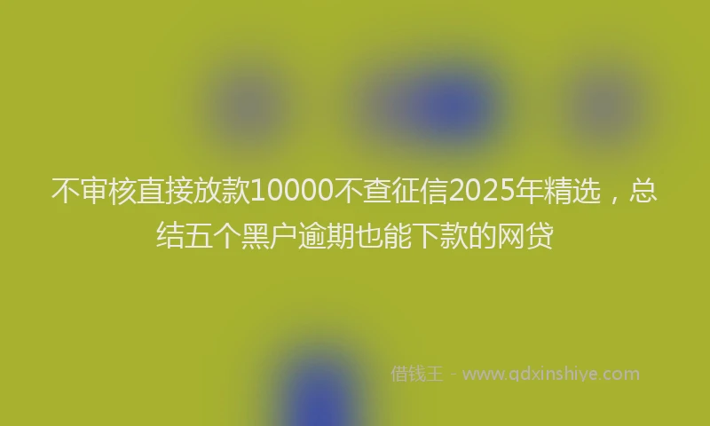 不审核直接放款10000不查征信2025年精选，总结五个黑户逾期也能下款的网贷