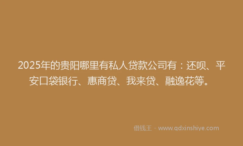 2025年的贵阳哪里有私人贷款公司有：还呗、平安口袋银行、惠商贷、我来贷、融逸花等。