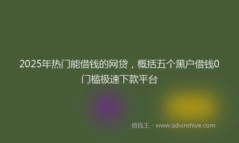 2025年热门能借钱的网贷，概括五个黑户借钱0门槛极速下款平台