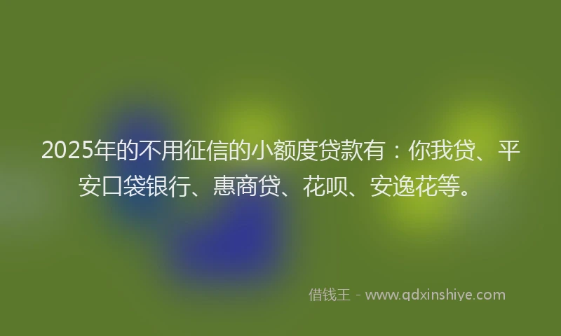 2025年的不用征信的小额度贷款有：你我贷、平安口袋银行、惠商贷、花呗、安逸花等。