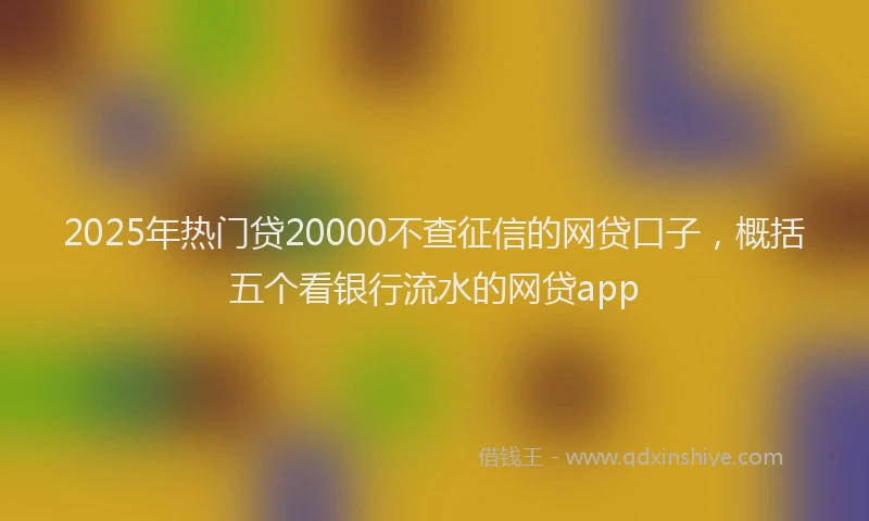 2025年热门贷20000不查征信的网贷口子，概括五个看银行流水的网贷app