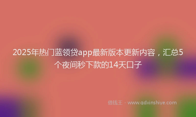 2025年热门蓝领贷app最新版本更新内容，汇总5个夜间秒下款的14天口子